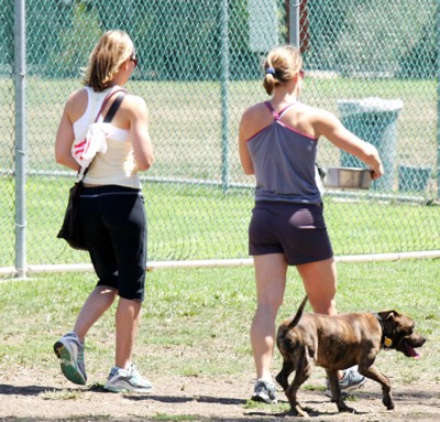 Jessica Biel Poster 1453512