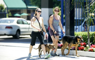 Jessica Biel Poster 1453530