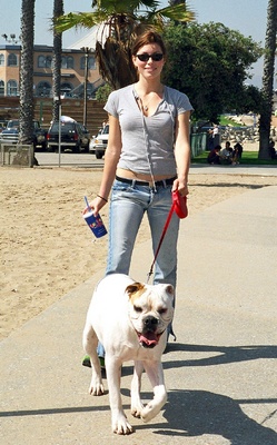 Jessica Biel Poster 2048717