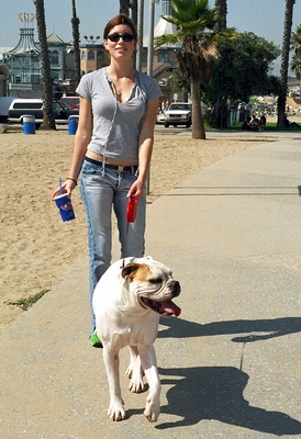 Jessica Biel Poster 2048768