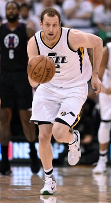 Joe Ingles Poster 3408527