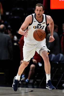 Joe Ingles Poster 3408531