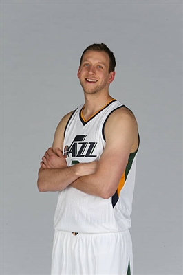 Joe Ingles Poster 3408560