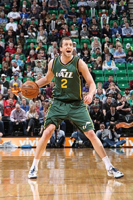 Joe Ingles Poster 3408562
