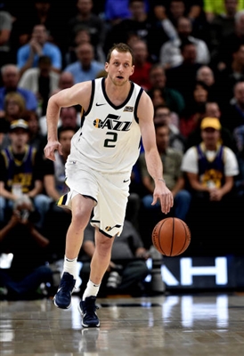 Joe Ingles Poster 3408565