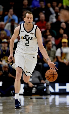 Joe Ingles Poster 3408569