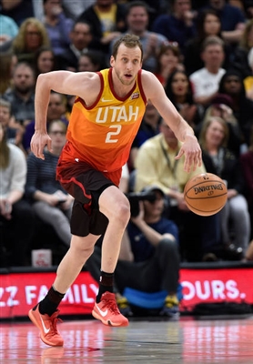 Joe Ingles Poster 3408573