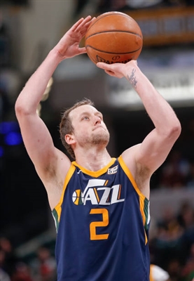 Joe Ingles Poster 3408576