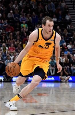 Joe Ingles Poster 3408581