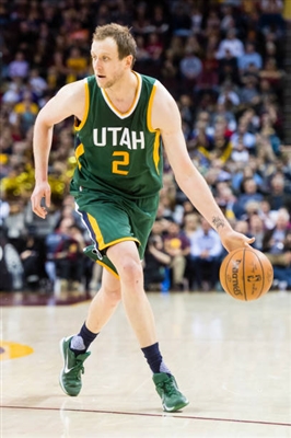 Joe Ingles Poster 3408583
