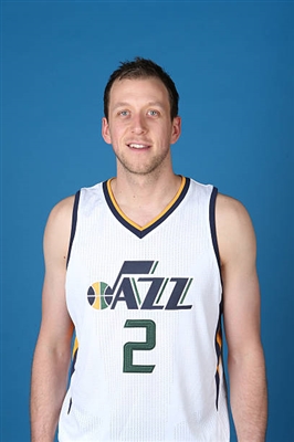 Joe Ingles Poster 3408601