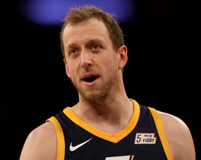Joe Ingles Poster 3408602