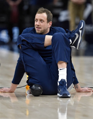 Joe Ingles Poster 3408603
