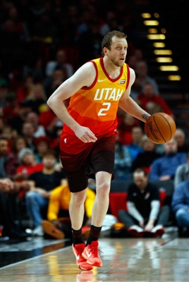 Joe Ingles Poster 3408613
