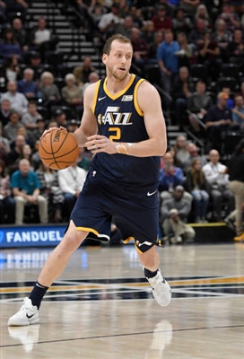 Joe Ingles Poster 3408624
