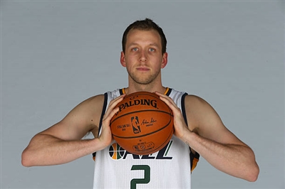 Joe Ingles Poster 3408632