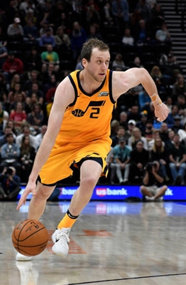 Joe Ingles Poster 3408635