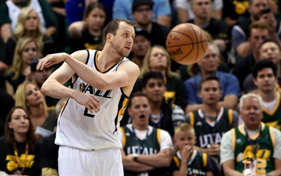 Joe Ingles Poster 3408645
