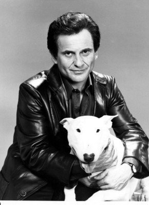 Joe Pesci Poster 2677434