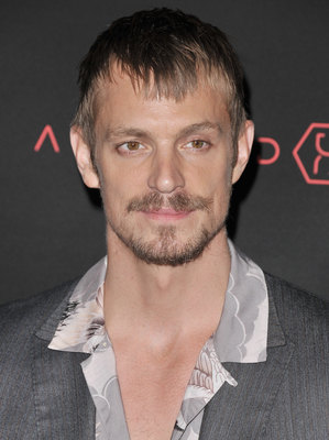 Joel Kinnaman Poster 2987687