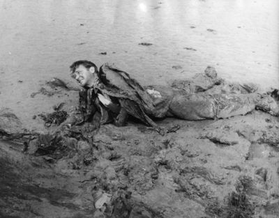 John Mills Poster 2552088