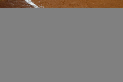 Jose Altuve Poster 3965491