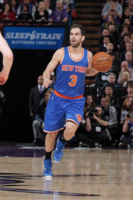Jose Calderon Poster 3380379