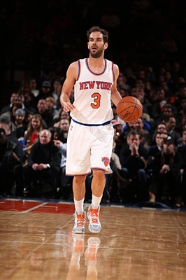 Jose Calderon Poster 3380438
