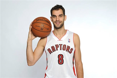 Jose Calderon Poster 3380447