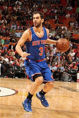 Jose Calderon Poster 3380449