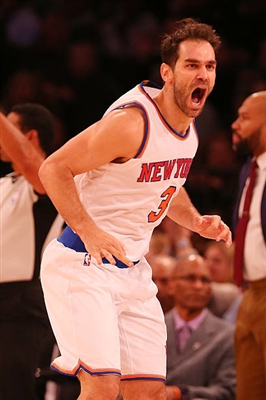 Jose Calderon Poster 3380469