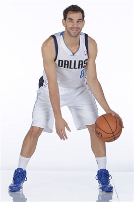 Jose Calderon Poster 3380474