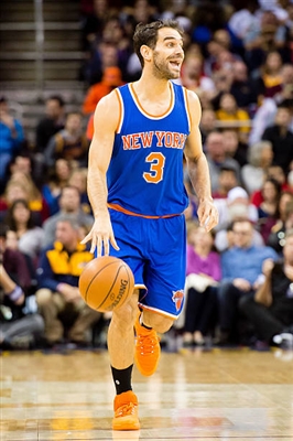 Jose Calderon Poster 3380481