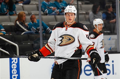 Josh Manson Poster 3575271