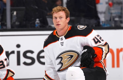 Josh Manson Poster 3575293