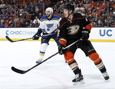 Josh Manson Poster 3575301