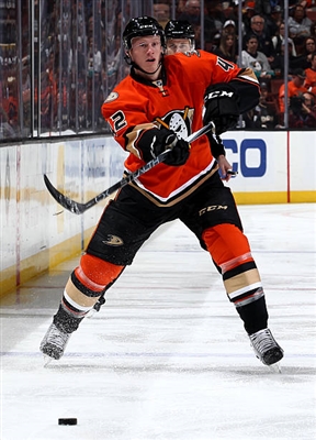 Josh Manson Poster 3575310