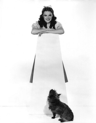 Judy Garland Poster 1533427