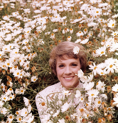 Julie Andrews Poster 2603541