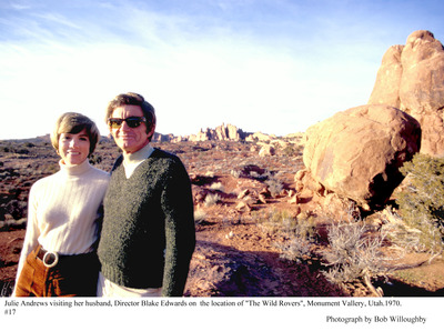 Julie Andrews Poster 2638024