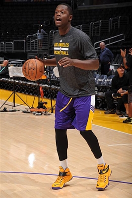 Julius Randle Poster 3438734