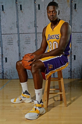 Julius Randle Poster 3438744