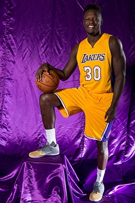Julius Randle Poster 3438748