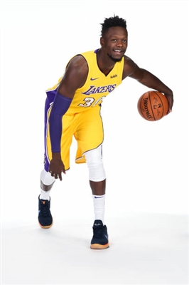 Julius Randle Poster 3438847