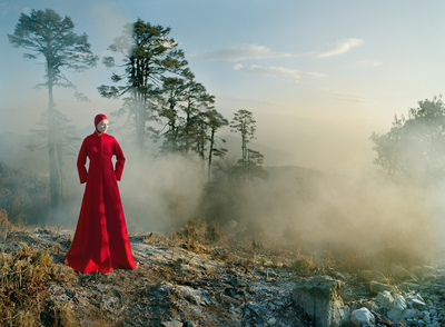 Karen Elson Poster 2480082