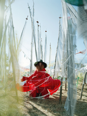 Karen Elson Poster 2480086