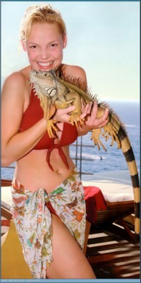 Katherine Heigl Poster 1373049