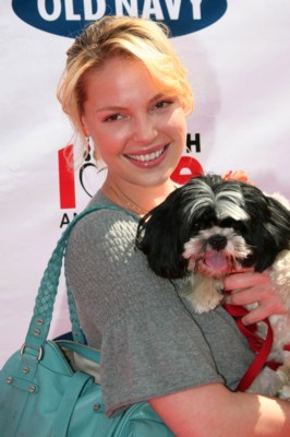 Katherine Heigl Poster 1426007