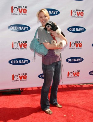 Katherine Heigl Poster 1426017