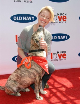 Katherine Heigl Poster 1426019